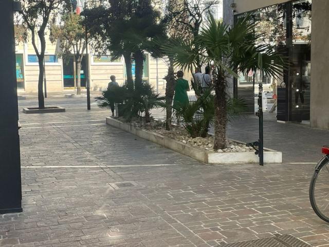 Appartamento in affitto a Pescara, Abruzzo