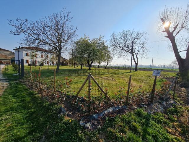 Appartamento in affitto a Ronchi, Curtatone
