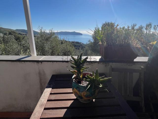 Appartamento in affitto a Pisciotta, Campania