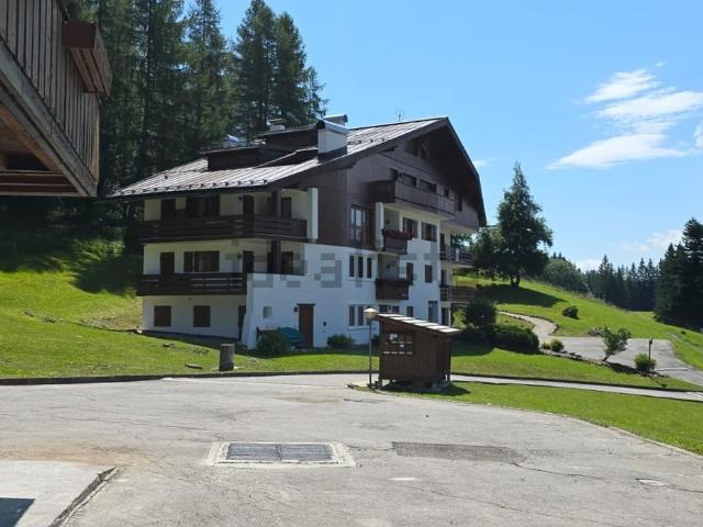 Appartamento in affitto a Alverà, Cortina D'ampezzo