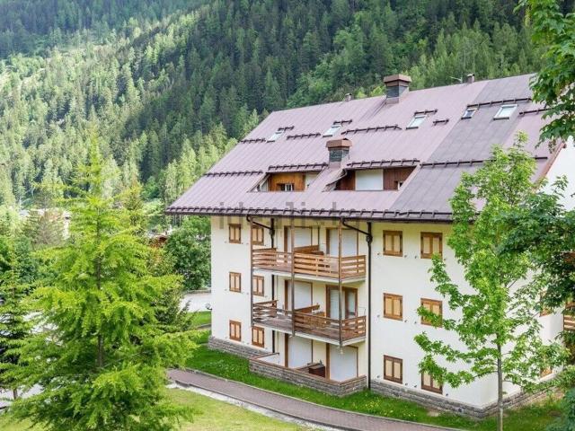Appartamento in affitto a Comunità della Valle di Sole, Pejo