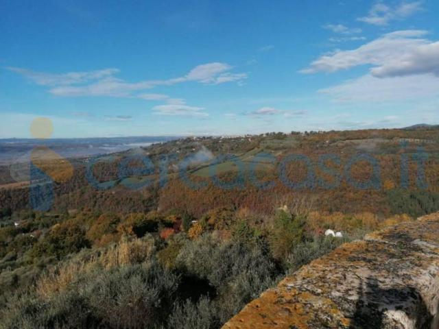 Appartamento in affitto a Penna In Teverina, Umbria