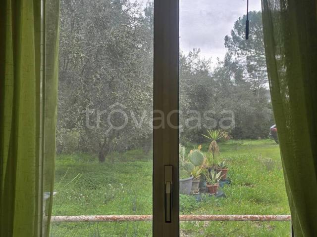 Appartamento in affitto a Caltanissetta, Sicilia