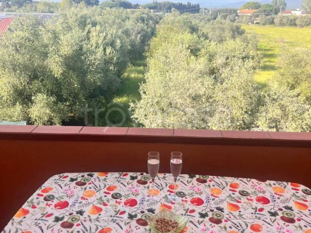 Appartamento in affitto a Bolgheri, Toscana