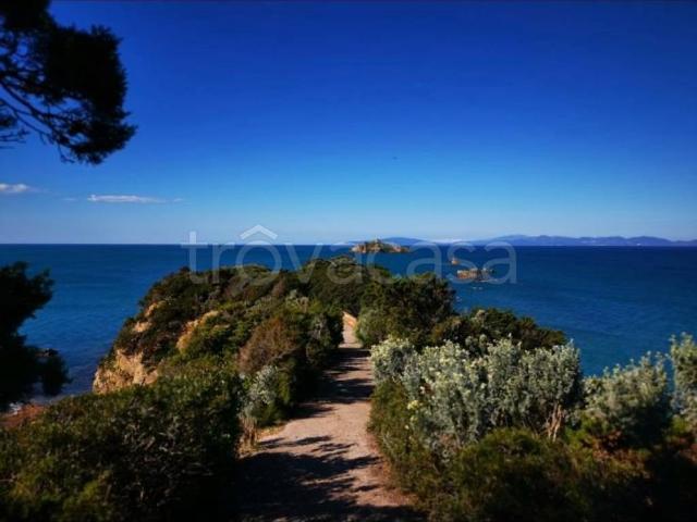 Appartamento in affitto a Castiglione Della Pescaia, Toscana