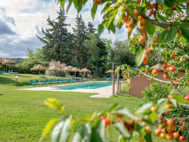 Appartamento in affitto a Cecina, Toscana
