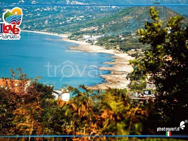 Appartamento in affitto a Centola, Campania