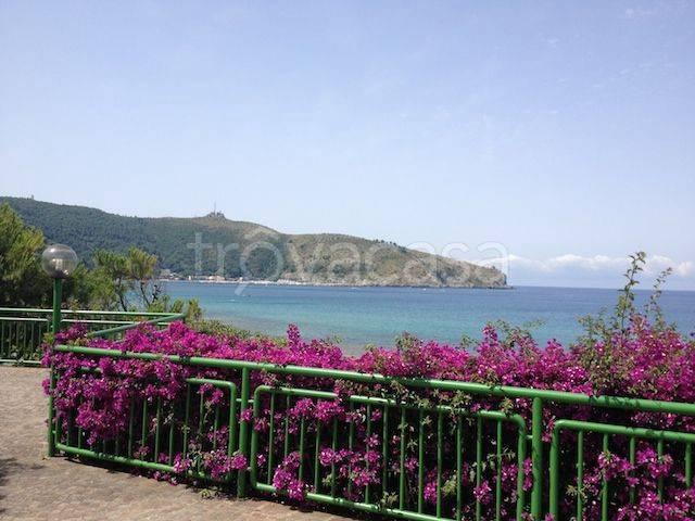 Appartamento in affitto a Centola, Campania