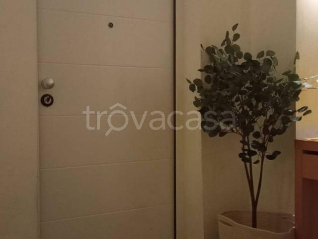 Appartamento in affitto a Pianura Reggiana, Re
