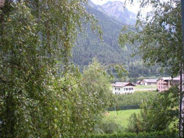 Appartamento in affitto a Comunità della Valle di Sole, Monclassico