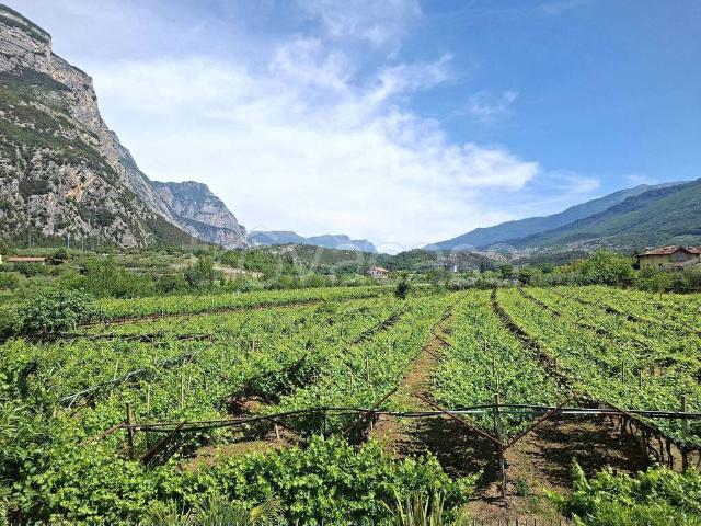 Appartamento in affitto a Comunità Alto Garda e Ledro, Dro