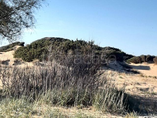 Appartamento in affitto a Puglia, Taranto