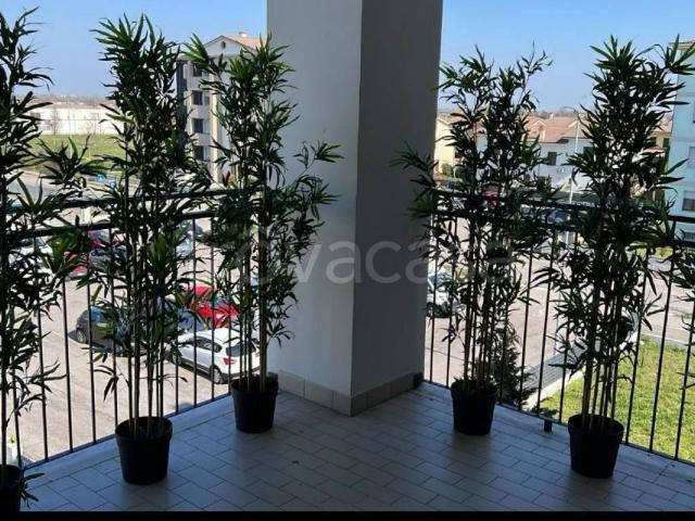 Appartamento in affitto a Borgo Virgilio, Cerese
