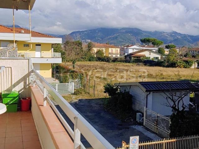 Appartamento in affitto a Marina di Massa, Marina Di Massa