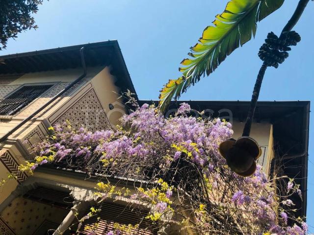 Appartamento in affitto a Municipio 2, Milano