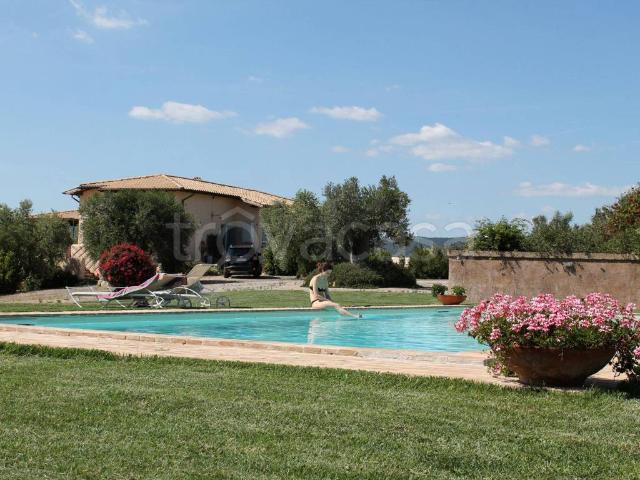 Appartamento in affitto a Montalto Di Castro, Lazio