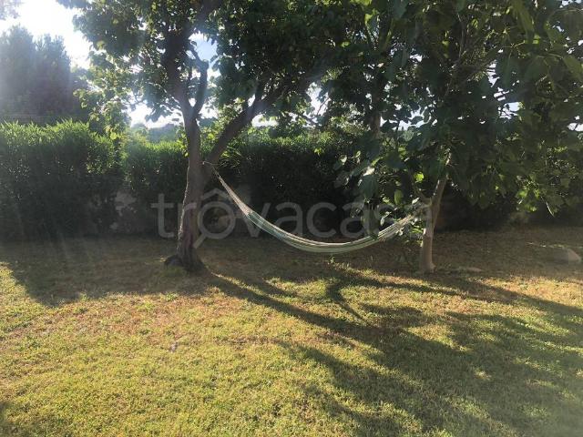 Appartamento in affitto a Montalto Di Castro, Lazio