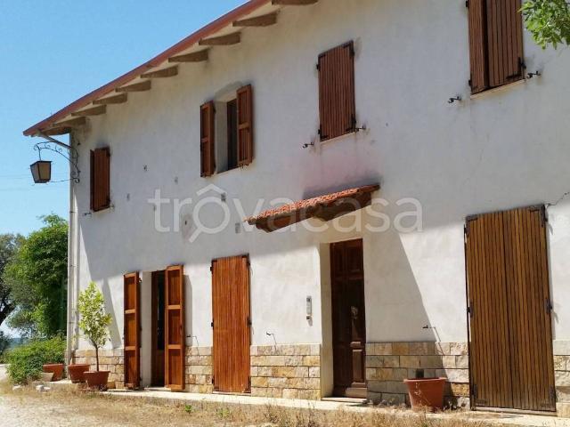 Appartamento in affitto a Marche, Ancona