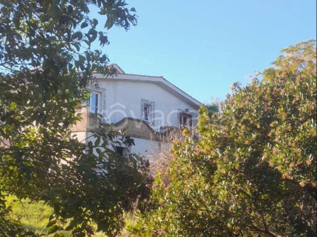Appartamento in affitto a Monterosi, Lazio
