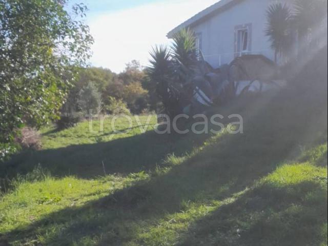 Appartamento in affitto a Monterosi, Lazio