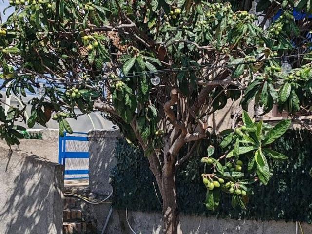 Appartamento in affitto a Lazzàro, Calabria