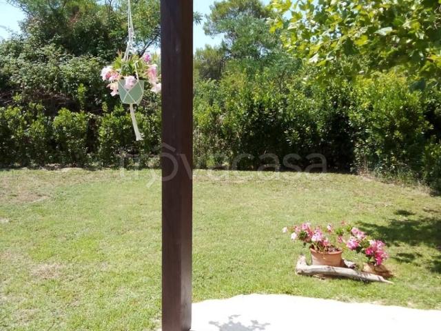 Appartamento in affitto a Marche, Ancona