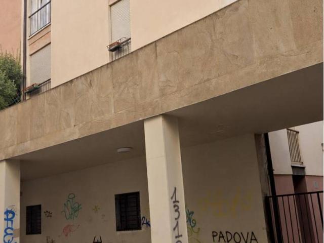 Appartamento in affitto a San Giuseppe, Padova