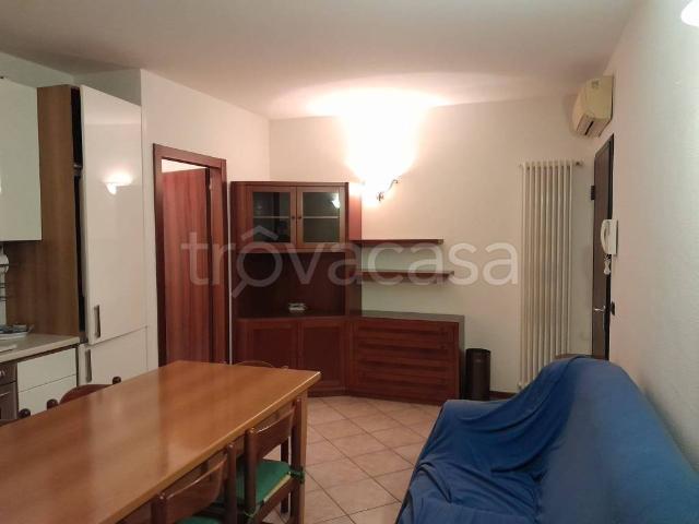Appartamento in affitto a San Lazzaro, Sorbolo
