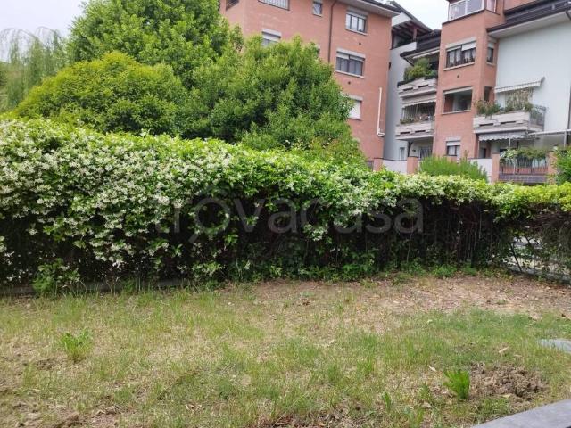 Appartamento in affitto a San Lazzaro, Sorbolo