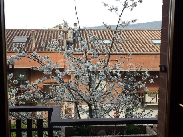 Appartamento in affitto a Santa Lucia, Cenerente