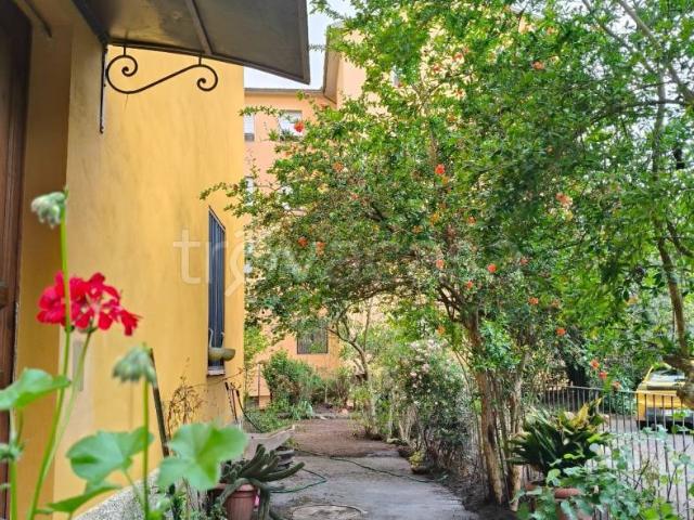Appartamento in affitto a Lecchi, Toscana