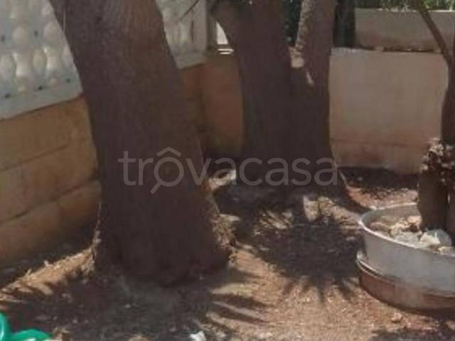 Appartamento in affitto a Santa Lucia, Capo Comino