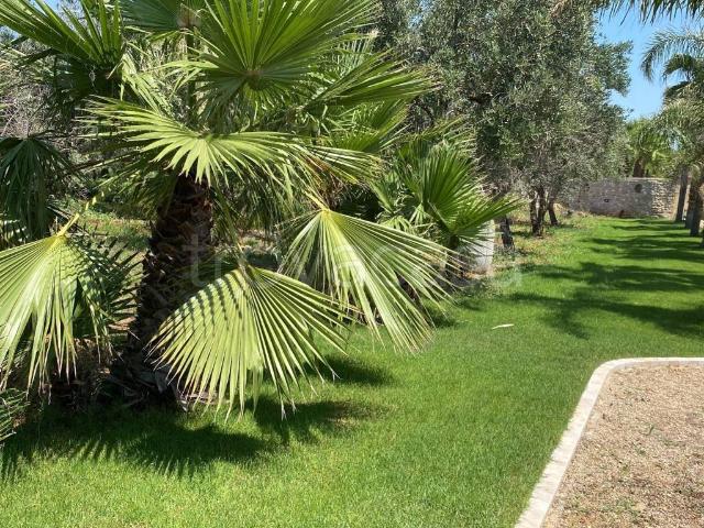 Appartamento in affitto a Puglia, Lecce