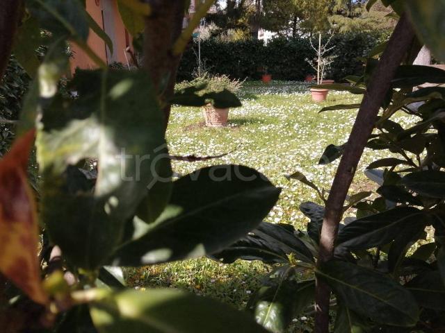 Appartamento in affitto a Sarteano, Toscana