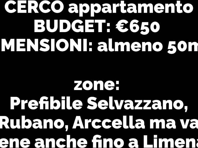 Appartamento in affitto a Selvazzano Dentro, Veneto