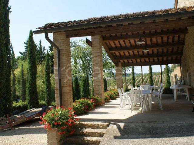 Appartamento in affitto a Terricciola, Toscana