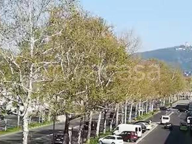 Appartamento in affitto a Circoscrizione 7, Piemonte