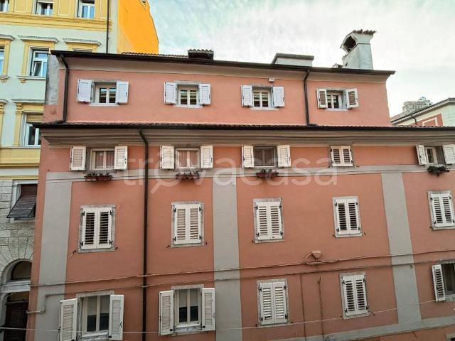 Appartamento in affitto a Barriera Vecchia-San Giacomo, Villa Opicina