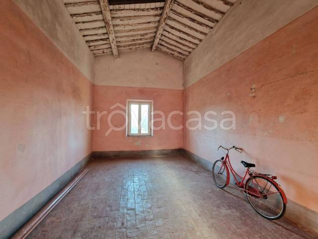 Appartamento in affitto a Vecchiano, Toscana