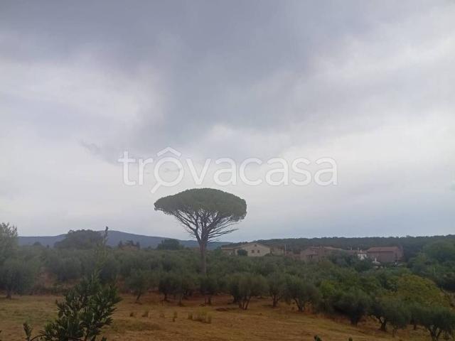 Appartamento in affitto a Vetralla, Lazio