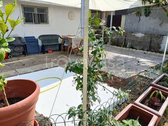 Appartamento in affitto a Marina di Tor San Lorenzo, Roma Capitale
