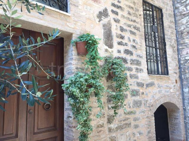 Appartamento in affitto a Assisi, Umbria