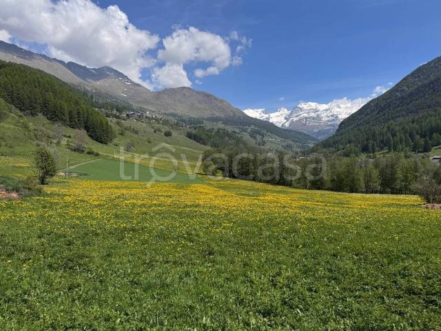 Appartamento in affitto a Ayas, Aosta
