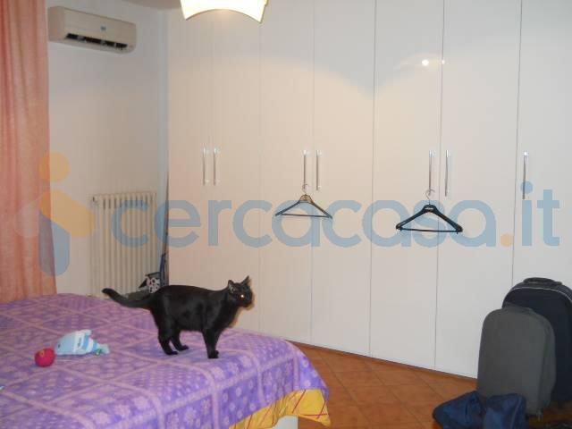 Appartamento in affitto a Centro Direzionale, Prato