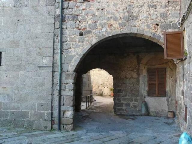 Appartamento in vendita a Abbadia San Salvatore, Toscana