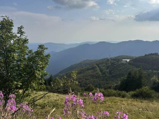 Appartamento in vendita a Abetone Cutigliano, Doganaccia