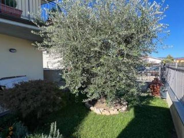 Appartamento in vendita a Cantone, Agliana