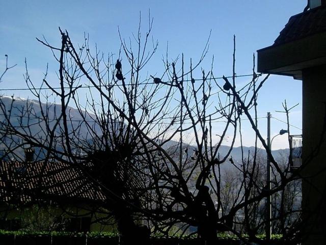 Appartamento in vendita a Gibello, Airuno