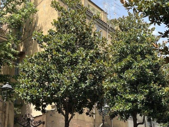 Appartamento in vendita a Roma Capitale, Lazio