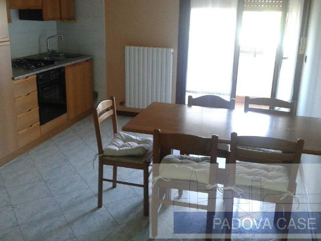 Appartamento in vendita a Lion, Albignasego